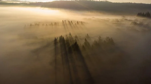 Una Veduta Aerea Dei Raggi Solari Sopra Nuvole Sopra Bosco — Foto Stock