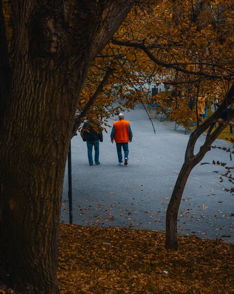 Buchare Romania Ekim 2020 Güzel Bir Sonbahar Gününde Parkta Yürüyen — Stok fotoğraf