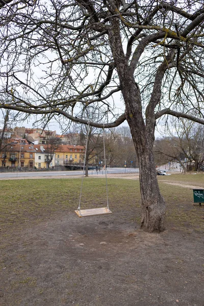 Colpo Verticale Altalena Appesa Ramo Albero — Foto Stock