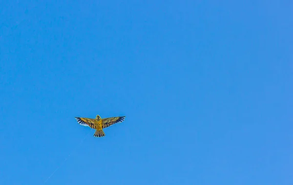 Realistic Handmade Kite Blue Sky — 스톡 사진