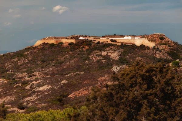 Uma Colina Com Árvores Plantas Edifícios Topo Sob Céu Claro — Fotografia de Stock