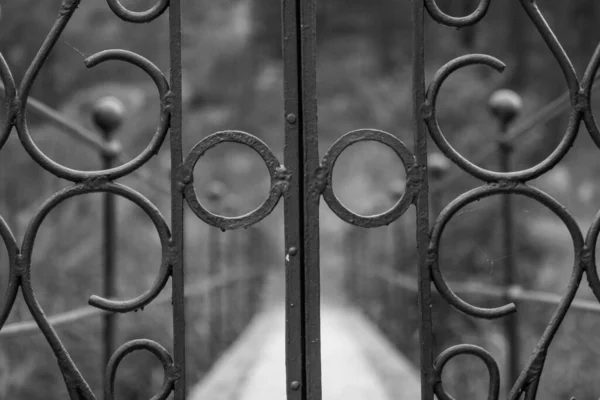Bulanık Bir Arkaplanda Metal Bir Kapının Gri Tonlu Görüntüsü — Stok fotoğraf