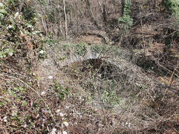 Une Zone Sale Salissante Dans Une Forêt — Photo