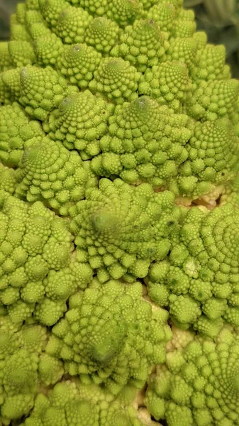 Närbild Färsk Romanesco Broccoli Eller Romersk Blomkål — Stockfoto