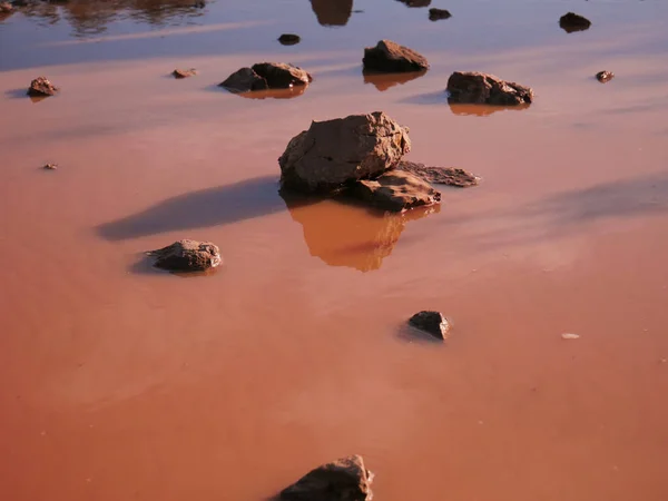 Крупним Планом Скелі Розкидані Піщаному Пляжі Заході Сонця — стокове фото