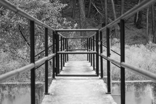 Graustufenaufnahme Eines Geländers Einer Fußgängerbrücke — Stockfoto