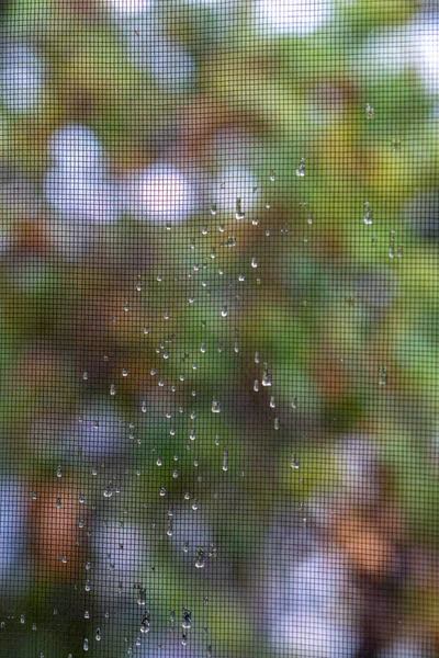 Gros Plan Des Gouttelettes Pluie Fraîches Propres Sur Écran Fenêtre — Photo