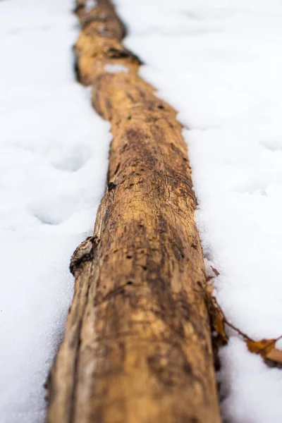 Pionowe Ujęcie Drewnianej Kłody Ziemi Pokrytej Śniegiem Rozmytym Tłem — Zdjęcie stockowe
