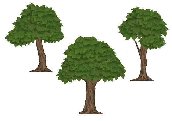 Три Дерева Белом Фоне — стоковое фото