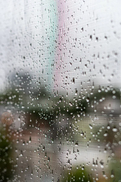 Closeup Fresh Clean Rain Droplets Window Screen — Stock Photo, Image
