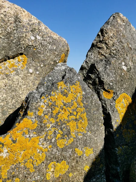 Rough Rock Covered Orange Lichen Blue Sky Background — 图库照片