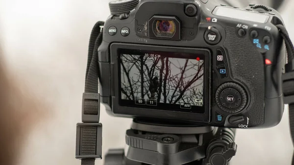 Uma Câmera Digital Instalada Uma Paisagem Para Fotografar Bela Vista — Fotografia de Stock