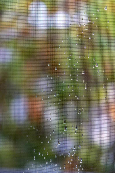 窗玻璃上新鲜干净的雨滴的特写 — 图库照片