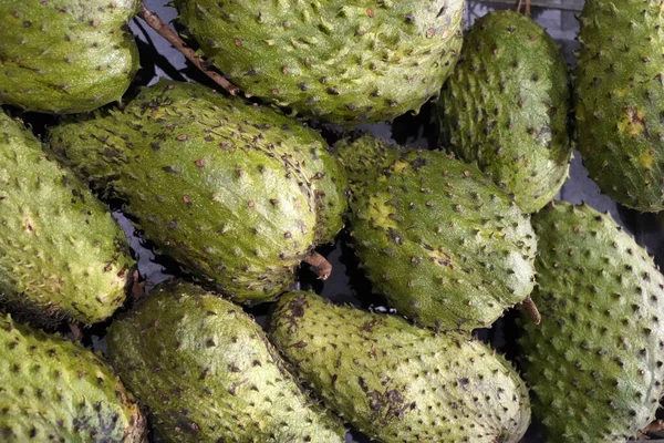 Ein Horizontaler Hintergrund Aus Grünem Frischem Sauerampfer Und Exotischen Früchten — Stockfoto