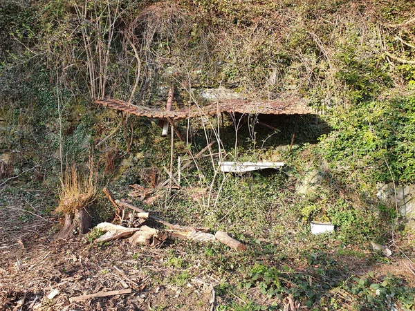 Μια Βρώμικη Και Βρώμικη Περιοχή Ένα Δάσος — Φωτογραφία Αρχείου