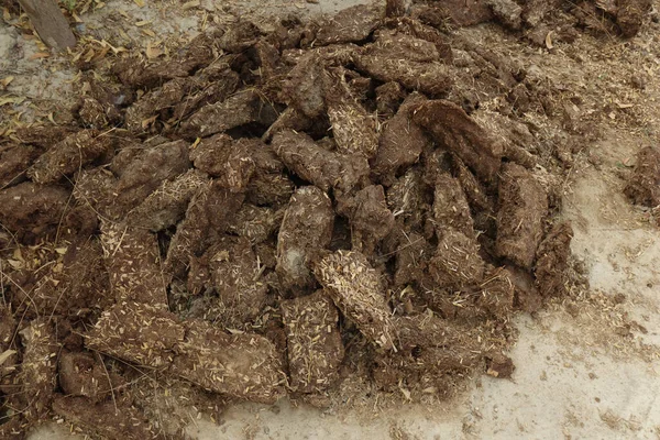 Een Close Van Blokken Gedroogde Grond Boerderij — Stockfoto