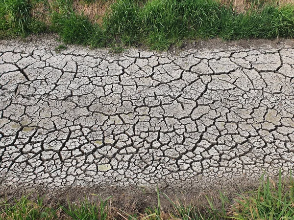 Ángulo Alto Senda Suelo Seco Agrietado Con Hierba Los Lados — Foto de Stock