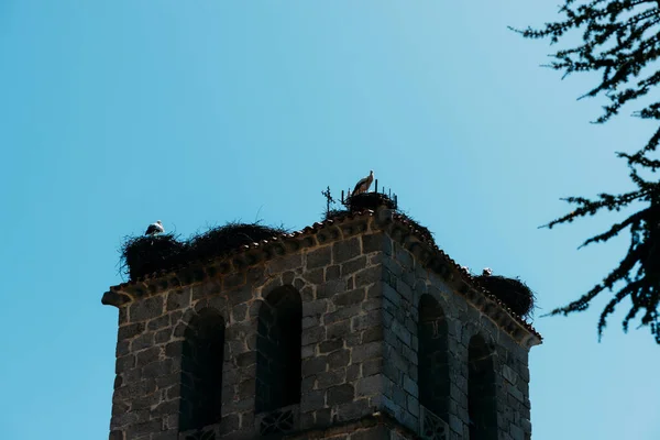 Tető Egy Templom Gólyák Fészkek Regionális Park Manzanares Spanyolországban Kék — Stock Fotó