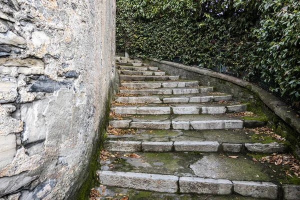 Старая Каменная Лестница Рядом Зданием Зеленью — стоковое фото