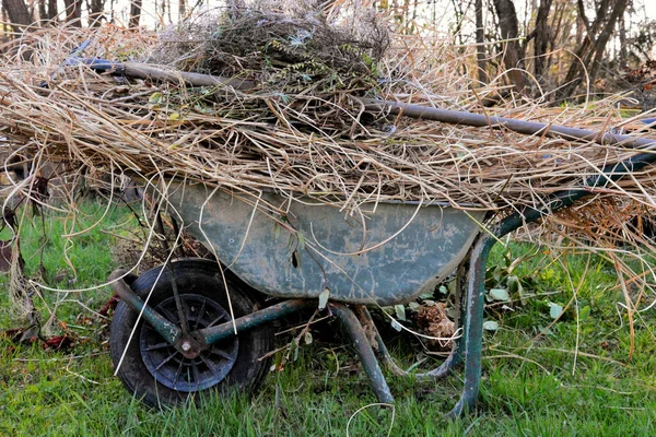 Ein Alter Bäuerlicher Wagen Mit Ästen Und Zweigen — Stockfoto