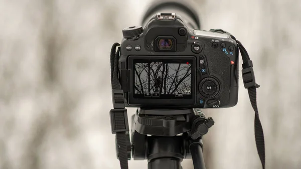 Uma Câmera Digital Instalada Uma Paisagem Para Fotografar Bela Vista — Fotografia de Stock