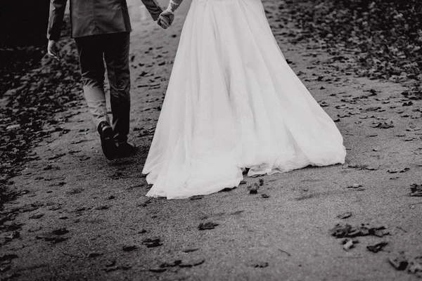結婚したばかりの夫婦のグレースケールのバックビュー — ストック写真