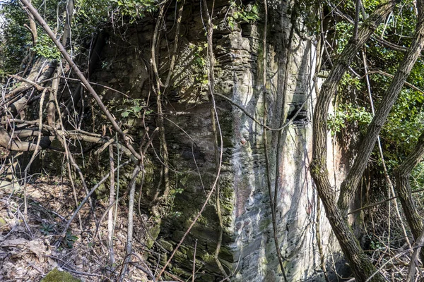 Een Oud Verlaten Stenen Huis Bedekt Met Bomen Groen — Stockfoto