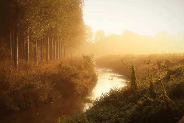 Ein Schöner Blick Auf Einen Wasserlauf Wald Bei Sonnenuntergang — Stockfoto