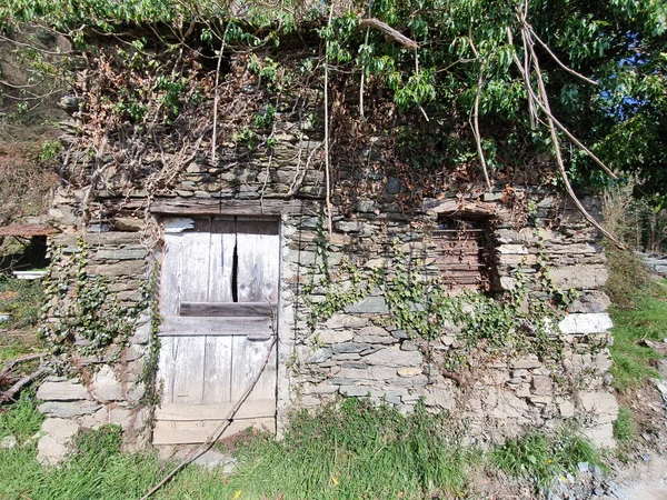 Een Ruïne Verlaten Stenige Huis Begroeid Met Planten — Stockfoto