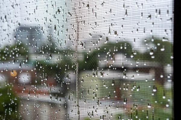 窗玻璃上新鲜干净的雨滴的特写 — 图库照片