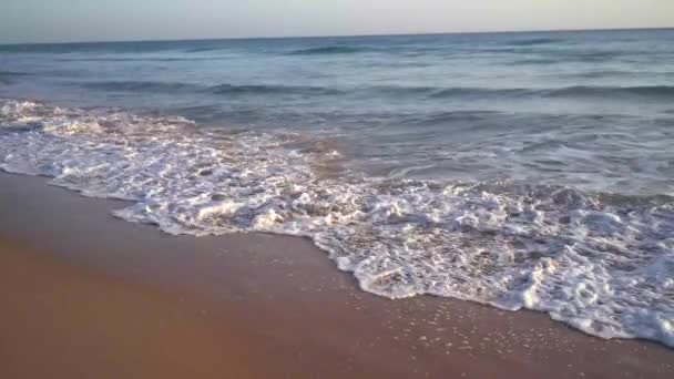 Písečná Pláž Vlnité Moře Slunečného Dne — Stock video
