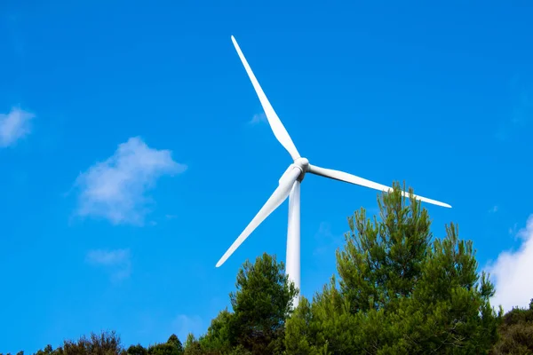 Eine Moderne Windmühle Umgeben Von Viel Grün Auf Einem Feld — Stockfoto