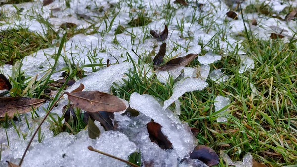 Een Shot Van Een Smeltende Sneeuw Groen Gras — Stockfoto