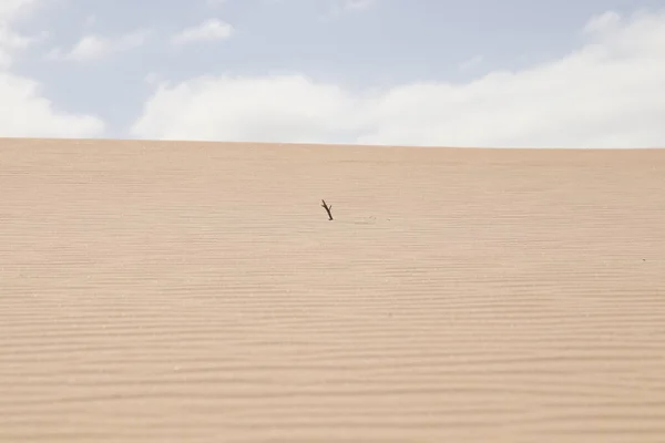 Disparo Desierto Con Cielo Horizonte — Foto de Stock