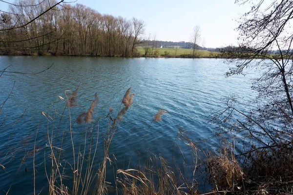 德国内卡河的美丽风景 — 图库照片