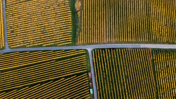 Воздушный Обзор Сельскохозяйственных Полей Осенью — стоковое фото