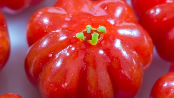 新鲜成熟的番茄 背景浅 — 图库视频影像