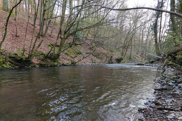 Río Que Fluye Través Bosque Con Árboles Secos Colina —  Fotos de Stock
