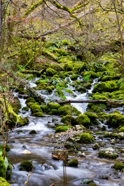 Vertikal Bild Kaskad Med Mossiga Stenar Skogen — Stockfoto