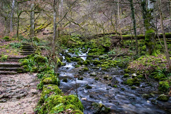 Řeka Mechem Porostlými Skalami Lese — Stock fotografie