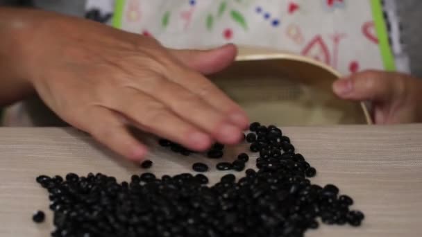 Primer Plano Manos Femeninas Eligiendo Frijoles Negros — Vídeos de Stock