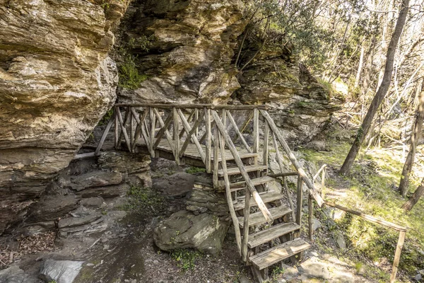 Eine Holztreppe Einem Wald Die Einer Klippe Führt — Stockfoto