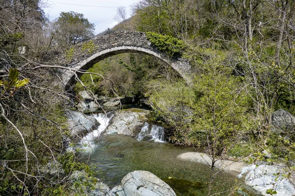 Een Bochtige Brug Een Bos Boven Een Stromende Rivier — Stockfoto