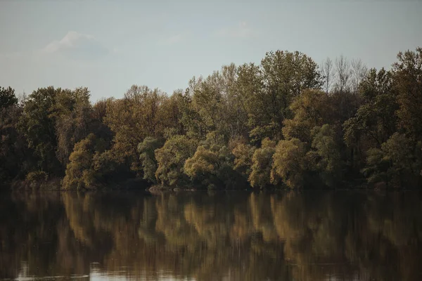 Uma Bela Foto Reflexo Das Árvores Lago — Fotografia de Stock