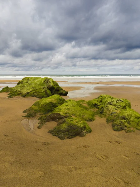 Βρύα Καλύπτονται Βράχια Και Ίχνη Μια Αμμώδη Παραλία Συννεφιασμένο Καιρό — Φωτογραφία Αρχείου