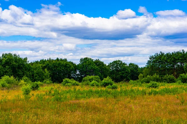Piękny Krajobraz Zielonej Łąki Drzewami Pod Chmurnym Niebem — Zdjęcie stockowe