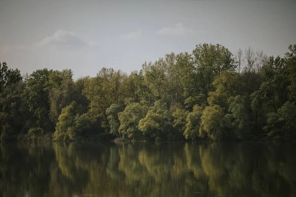 Красивый Вид Озеро Окружении Зеленых Растений Деревьев — стоковое фото