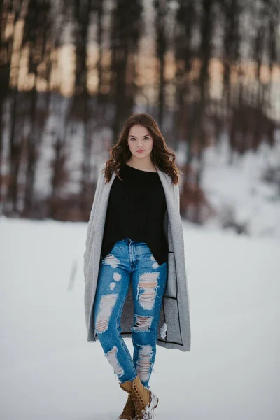 Tiro Vertical Uma Jovem Caucasiana Elegante Fêmea Posando Campo Nevado — Fotografia de Stock
