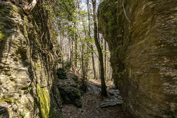 Ein Schmaler Weg Zwischen Felsigen Klippen Einem Wald Mit Bäumen — Stockfoto