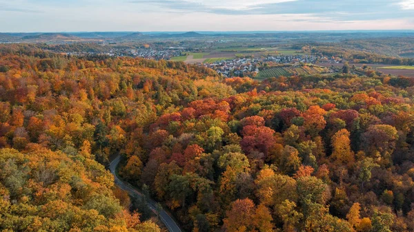 Uma Vista Aérea Uma Estrada Através Floresta Dourada Outono — Fotografia de Stock